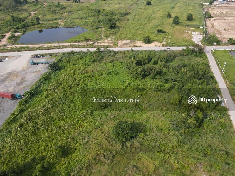 ขายที่ดิน ศรีราชา—ถนนหนองยายบู่-ท่อน้ำ จ.ชลบุรี 14-1-10 ไร่ (ใกล้ นิคมอุตสาหกรรมปิ่นทอง 1 และ 2)