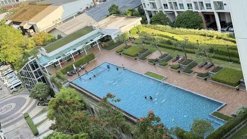 Supalai Wellington 2, Bangkok, Thimruemdam Road, Huai Khwang, Huai Khwang, Bangkok, 2 Bedrooms, 68 sqm, Condo For Rent, by Kim Nichada, 9778592 - DDproperty.com