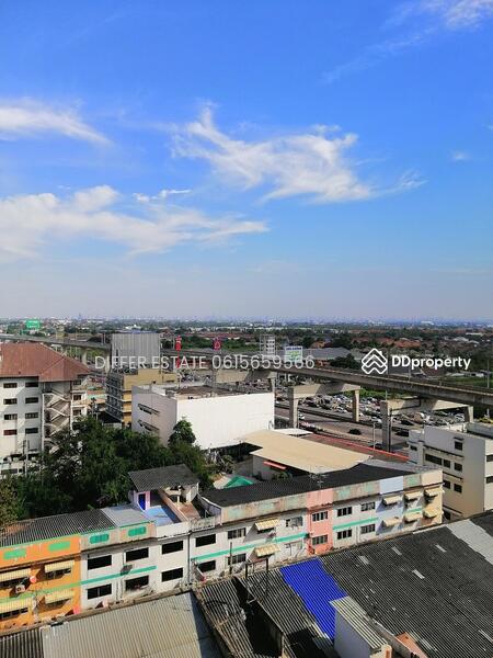 ให้เช่า - Plum Condo Central Station (Phase 2) : พลัมคอนโด เซ็นทรัล สเตชั่น (เฟส 2), นนทบุรี