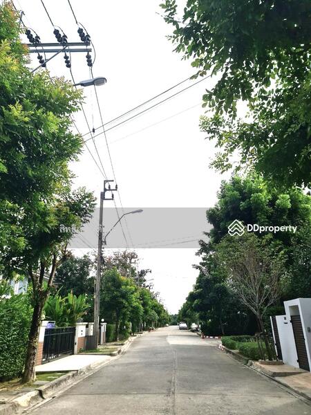 โฮมเพลส เดอะ พาร์ฺค, กรุงเทพ, คลองสองต้นนุ่น, ลาดกระบัง, กรุงเทพ, 180 ตร.ม., บ้านเดี่ยว ขาย, โดย สิทธิเกียรติ สกุลเตชะธนา, 9784771 - DDproperty.com