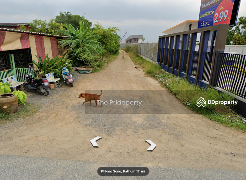 ทางเข้าที่ดิน