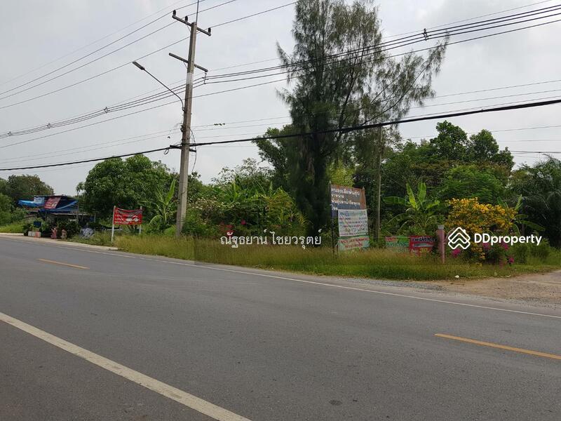 12170, Pathum Thani, เลียบคลองสิบตะวันออก, Bung Ba, Nong Sua, Pathum Thani, , 176,000 sqm, Land For Sale, by ณัฐธยาน์ ไชยวรุตย์, 9785377 - DDproperty.com