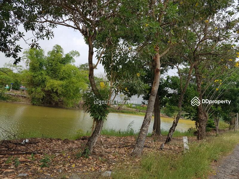12170, Pathum Thani, เลียบคลองสิบตะวันออก, Bung Ba, Nong Sua, Pathum Thani, , 176,000 sqm, Land For Sale, by ณัฐธยาน์ ไชยวรุตย์, 9785377 - DDproperty.com