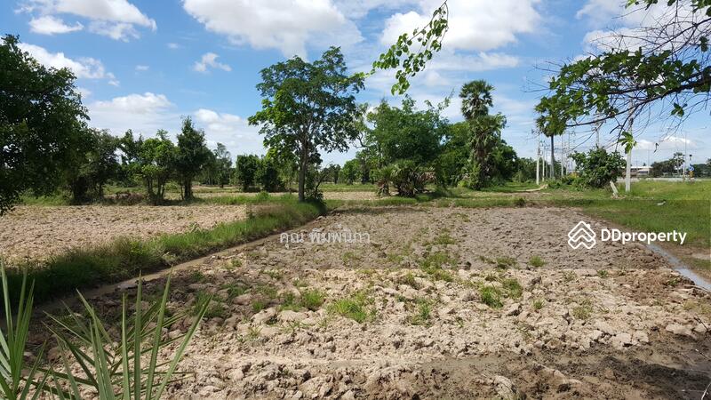 For Sale - ที่ดิน, Nakhon Ratchasima