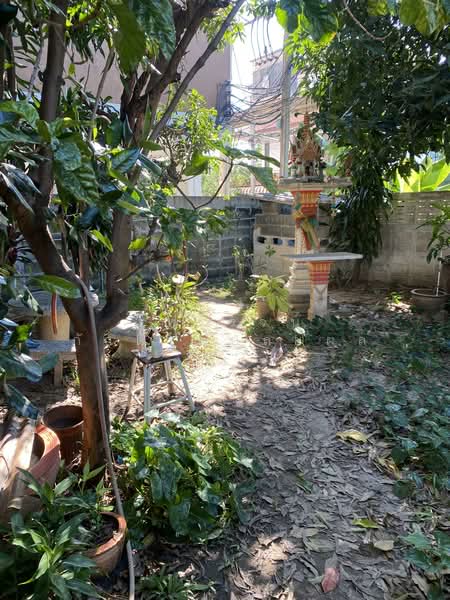 บ้านเดียว ซอย อ่อนนุช 52 ขนาด 76 ตรว, กรุงเทพ, อ่อนนุช 52, สวนหลวง, สวนหลวง, กรุงเทพ, 304 ตร.ม., ทาวน์เฮ้าส์ ขาย, โดย ไพโรจน์ ภักดีไพบูลย์ผล, 9820219 - DDproperty.com