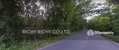 ขาย - ขายที่ดิน สงขลา บางกล่ำ ใกล้สถานีรถไฟบางกล่ำ สงขลา ปัจจุบันเป็นสวนยาง, สงขลา