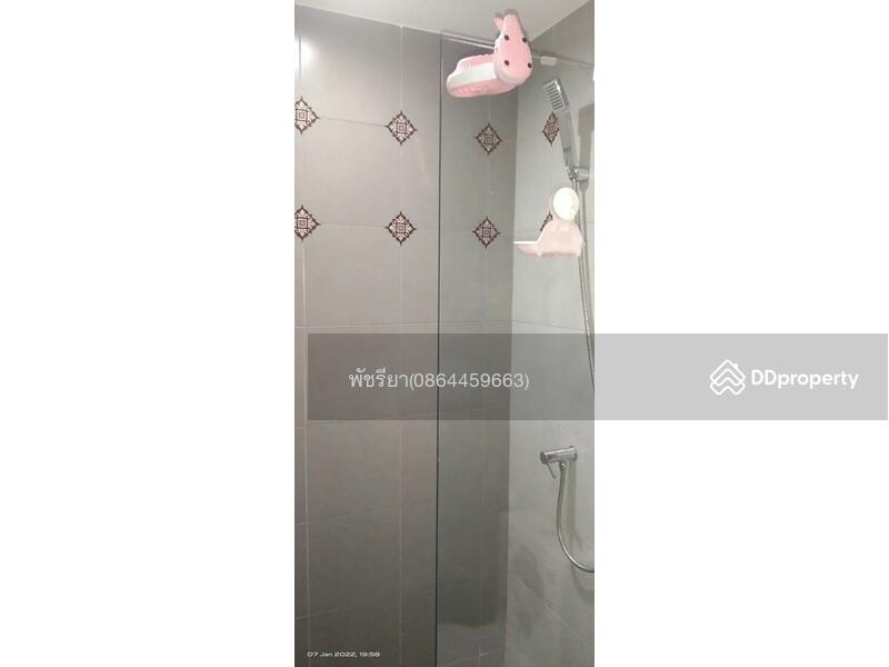 Elio Sukhumvit 64, Bangkok, 99 Soi Sukhumvit 64, Bang Chak, Phra Khanong, Bangkok, Studio, 24 sqm, Condo For Sale, by Living Condo, 9829370 - DDproperty.com