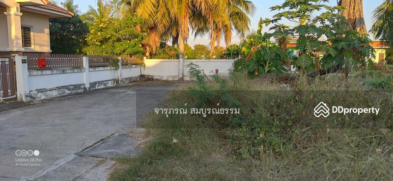ติดถนนอนคอนกรีตในหมู่บ้าน