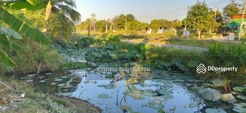 ด้านหลังติดคลองและติดถนนสาธารณะประโยชน์