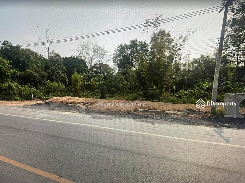 ขายที่ดิน 23 ไร่ ติดริมถนนบ้านนา-แก่งคอย ต.ชะอม อ.แก่งคอย สระบุรี, Saraburi, บ้านนา-แก่งคอย, Cha Om, Kaeng Khoi, Saraburi, , 36,800 sqm, Land For Sale, by ศุทธดา มงคลมหาลาภ, 9835756 - DDproperty.com