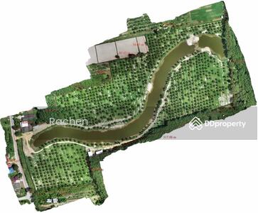 ขาย - ที่ดิน ควนเนียง, สงขลา