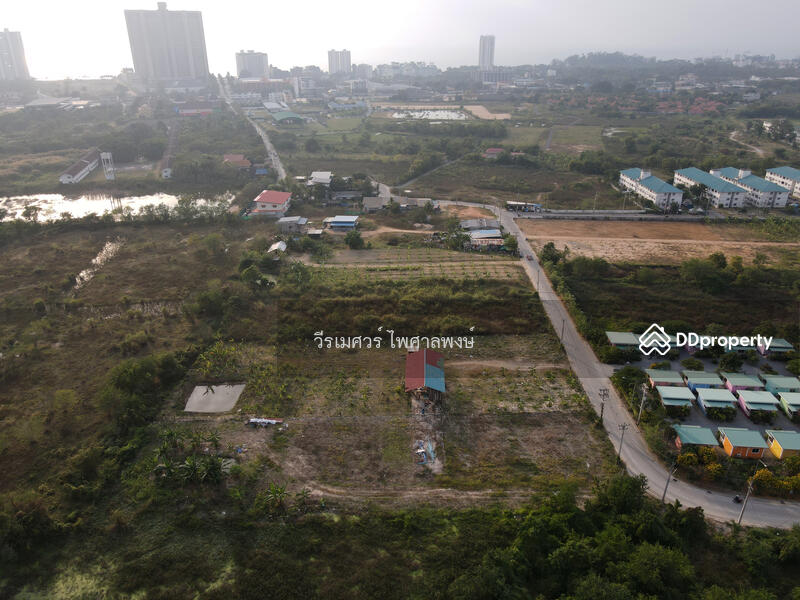 ขายถูกมาก! ที่ดินนาจอมเทียน พัทยา-ติดถนน 2 เลน (ใกล้ถนนสุขุมวิท และ มิโมซ่า-พัทยา) 2-0-0 ไร่