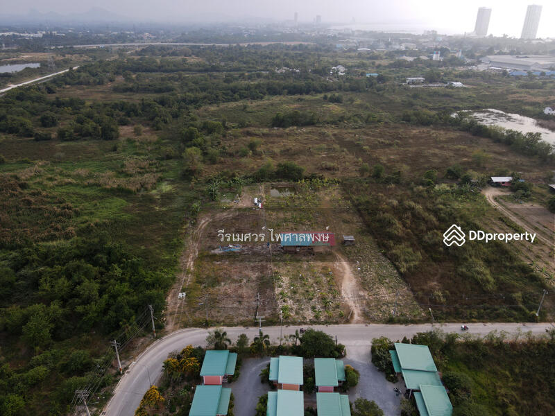 ขายถูกมาก! ที่ดินนาจอมเทียน พัทยา-ติดถนน 2 เลน (ใกล้ถนนสุขุมวิท และ มิโมซ่า-พัทยา) 2-0-0 ไร่