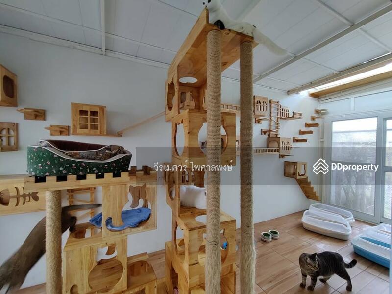 ขายถูกมาก! บ้าน Casa Legend เกษตร-นวมินทร์ ( หลังมุม + ต่อเติมพิเศษทั้งหลัง ) 61.1 ตร.ว. 