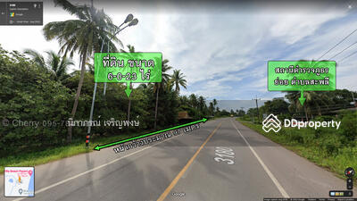 ขาย - ที่ดิน สะพลี ชุมพร, ชุมพร