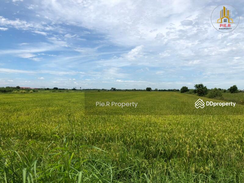 ขาย - ที่ดินระหว่างถนนลำลูกกาและถนนรังสิต-นครนายก, ปทุมธานี