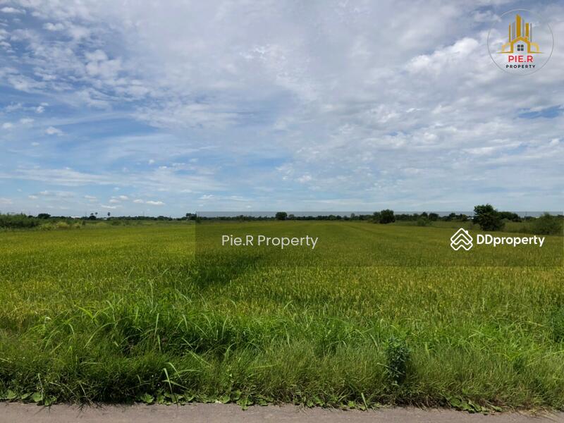 ขาย - ที่ดินระหว่างถนนลำลูกกาและถนนรังสิต-นครนายก, ปทุมธานี