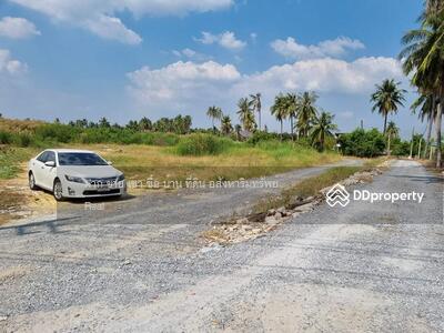 ขาย - ขายที่ดิน 134 ไร่ อ.บ้านโพธิ์ ฉะเชิงเทรา ถนนบ้านวังสะพาน-ถนนเข้าวัดลาดบัว บ้านวังอู่, ฉะเชิงเทรา