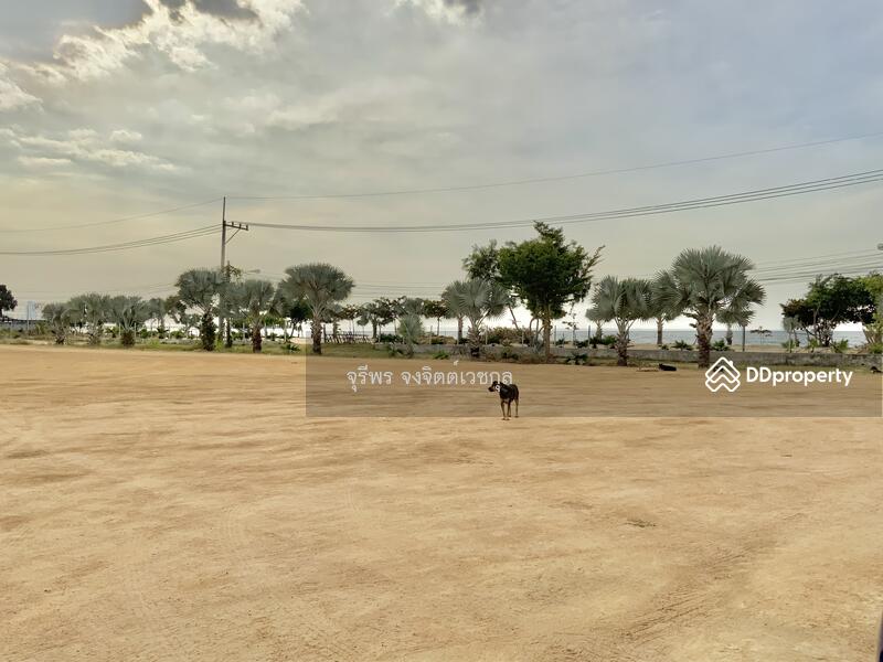 ที่ดินสวยพัทยา ติดหาดกระทิงลาย, Chon Buri (Pattaya), Bang Lamung, Bang Lamung (Pattaya), Chon Buri (Pattaya), , 115,200 sqm, Land For Sale, by Paula ., 9944452 - DDproperty.com