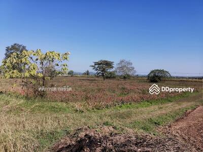 ขาย - ที่ดินเปล่า อ.แม่ข้าวต้ม จ. เชียงราย, เชียงราย