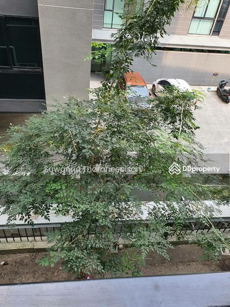 Rye Talat Phlu, Bangkok, 79-3 Soi Terdthai 33, Talat Plu, Thon Buri, Bangkok, 1 Bedroom, 30 sqm, Condo For Sale, by Suwanna Thoraneepisan, 9945174 - DDproperty.com