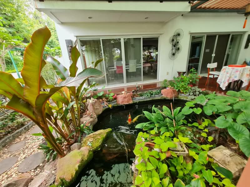 Noble Tara Pattanakarn, Bangkok, 2046 Pattanakarn Road, Suan Luang, Suan Luang, Bangkok, 3 Bedrooms, 500 sqm, Single Detached House For Rent, by ไอรินทร์ อัครชัยธนรักษ์, 9950270 - DDproperty.com