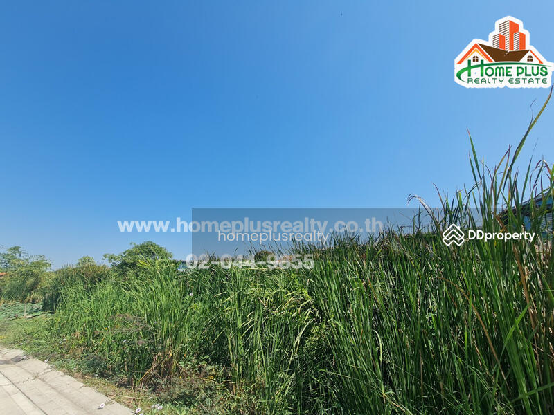 ที่ดินเปล่า ซอยรังสิต-นครนายก57 (ใกล้ฟิวเจอร์พาร์ค รังสิต), ปทุมธานี, ประชาธิปัตย์, ธัญบุรี, ปทุมธานี, 400 ตร.ม., ที่ดิน ขาย, โดย คุณหนึ่ง, 9952415 - DDproperty.com