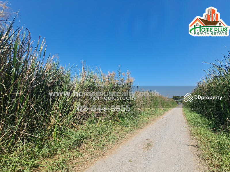 ที่ดินเปล่า ซอยรังสิต-นครนายก57 (ใกล้ฟิวเจอร์พาร์ค รังสิต), Pathum Thani, Prachathipat, Thanyaburi, Pathum Thani, , 400 sqm, Land For Sale, by คุณหนึ่ง, 9952415 - DDproperty.com