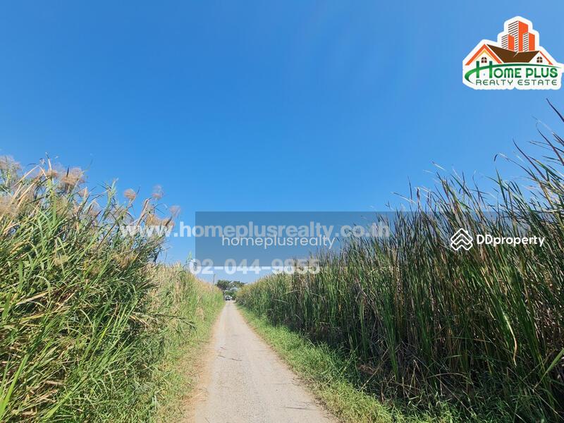 ที่ดินเปล่า ซอยรังสิต-นครนายก57 (ใกล้ฟิวเจอร์พาร์ค รังสิต), ปทุมธานี, ประชาธิปัตย์, ธัญบุรี, ปทุมธานี, 400 ตร.ม., ที่ดิน ขาย, โดย คุณหนึ่ง, 9952415 - DDproperty.com