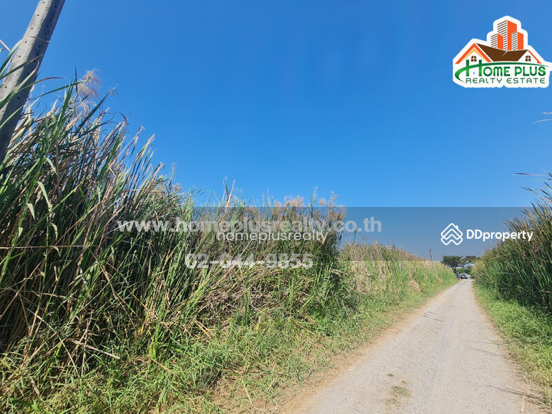 ที่ดินเปล่า ซอยรังสิต-นครนายก57 (ใกล้ฟิวเจอร์พาร์ค รังสิต), Pathum Thani, Prachathipat, Thanyaburi, Pathum Thani, , 400 sqm, Land For Sale, by คุณหนึ่ง, 9952415 - DDproperty.com