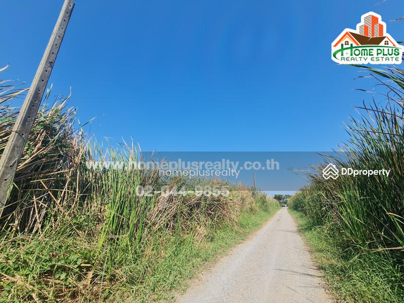 ที่ดินเปล่า ซอยรังสิต-นครนายก57 (ใกล้ฟิวเจอร์พาร์ค รังสิต), ปทุมธานี, ประชาธิปัตย์, ธัญบุรี, ปทุมธานี, 400 ตร.ม., ที่ดิน ขาย, โดย คุณหนึ่ง, 9952415 - DDproperty.com