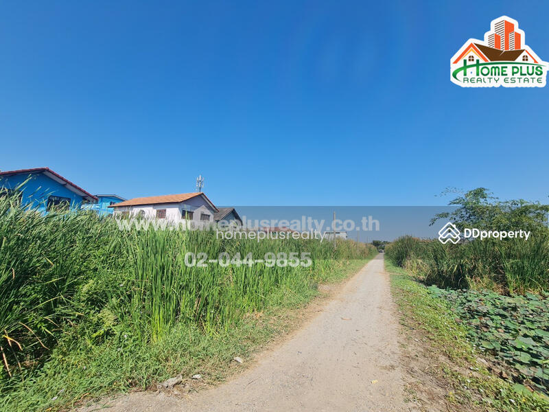 ที่ดินเปล่า ซอยรังสิต-นครนายก57 (ใกล้ฟิวเจอร์พาร์ค รังสิต), Pathum Thani, Prachathipat, Thanyaburi, Pathum Thani, , 400 sqm, Land For Sale, by คุณหนึ่ง, 9952415 - DDproperty.com