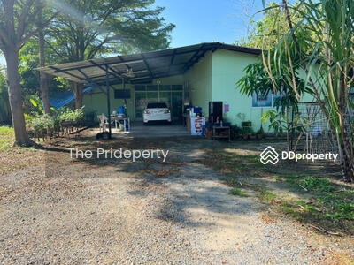 ขาย - ที่ดิน 199 ตร.วา งามวงศวาน 23, นนทบุรี