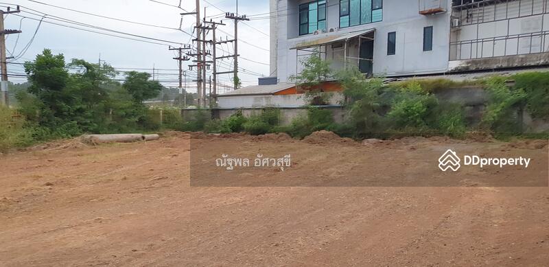 ขาย - ขายที่ดิน ติดถนน304