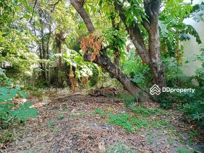 ขาย - ขายที่สวยใจกลางเมือง สระบุรี 105 ตารางวา, สระบุรี