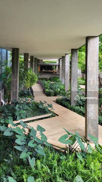 ขาย - Botanica Khao Yai : โบทานิก้า เขาใหญ่, นครราชสีมา