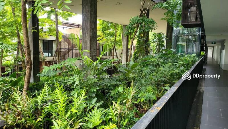 ขาย - Botanica Khao Yai : โบทานิก้า เขาใหญ่, นครราชสีมา