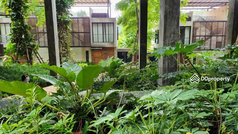 ขาย - Botanica Khao Yai : โบทานิก้า เขาใหญ่, นครราชสีมา