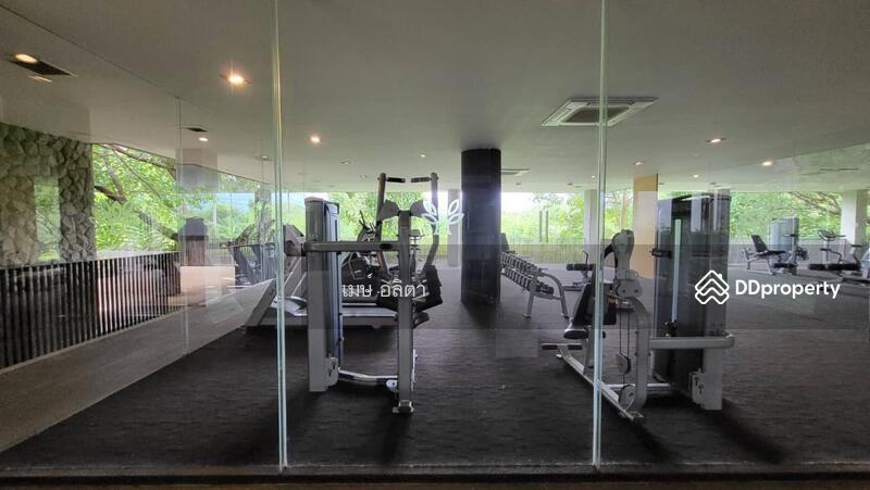 ขาย - Botanica Khao Yai : โบทานิก้า เขาใหญ่, นครราชสีมา
