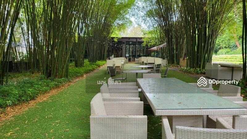 ขาย - Botanica Khao Yai : โบทานิก้า เขาใหญ่, นครราชสีมา