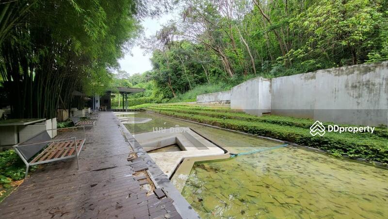 ขาย - Botanica Khao Yai : โบทานิก้า เขาใหญ่, นครราชสีมา