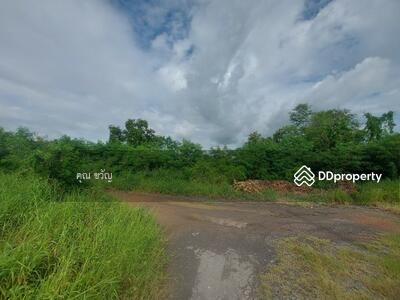 ขาย - ที่ดินเปล่าแปลงใหญ่ หนองจอก, กรุงเทพ