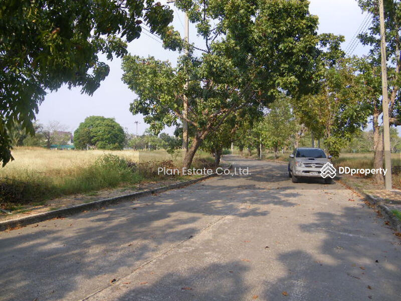 ที่ดินเปล่าจัดสรร นครชัยศรี นครปฐม NSMEI0044P