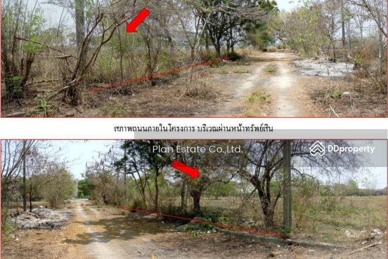 ที่ดินเปล่าจัดสรร บางพลี สมุทรปราการ ASMEI0043P