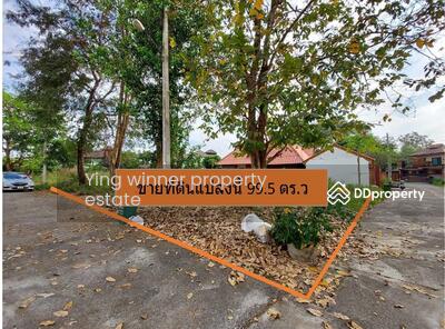 ขาย - ขายที่ดิน หมู่บ้านริมน้ำ อำเภอเมือง เชียงใหม่ ต.สันผีเสื้อ, เชียงใหม่