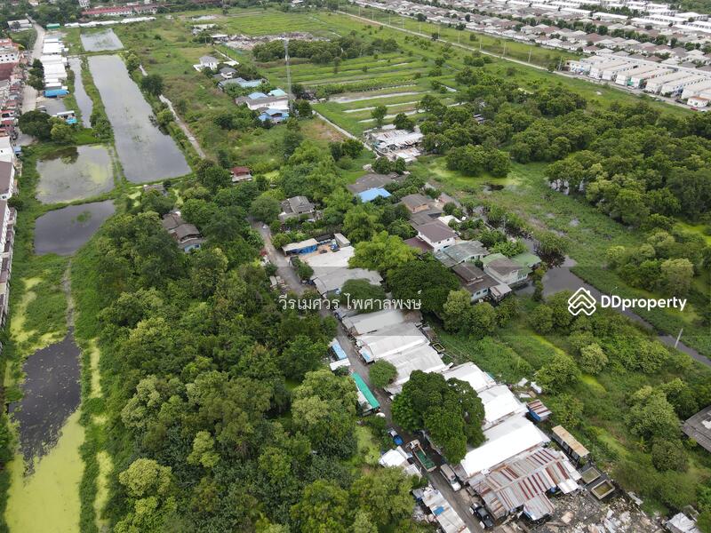 ขายที่ดิน สายไหม-วัชรพล-เพิ่มสิน-ออเงิน (เหมาะทำหมู่บ้านจัดสรร + คลังสินค้า) 35-2-47 ไร่ 