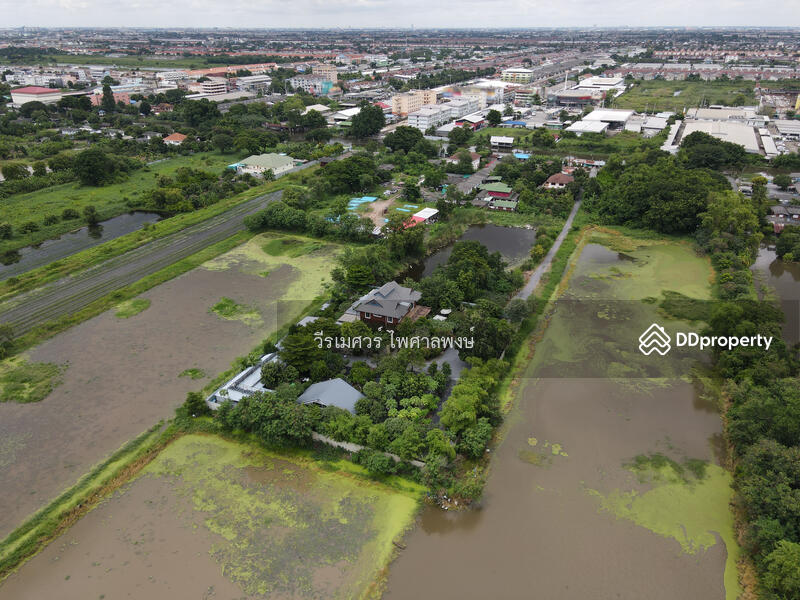 ขายที่ดิน สายไหม-วัชรพล-เพิ่มสิน-ออเงิน (เหมาะทำหมู่บ้านจัดสรร + คลังสินค้า + Shopping Mall) 86-2-38