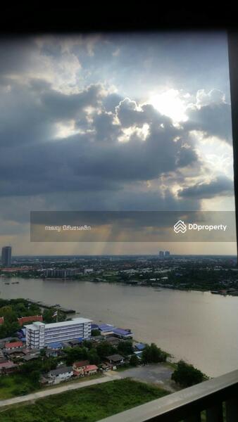 The IRIS Rama 9-Srinakarin : ดิ ไอริส พระราม 9 - ศรีนครินทร์, กรุงเทพ, ถนนศรีนครินทร์ แขวงสวนหลวง เขตสวนหลวง กรุงเทพมหานคร 10250, สวนหลวง, สวนหลวง, กรุงเทพ, 32 ตร.ม., คอนโด ให้เช่า, โดย Cat Real Estate (Thailand) Co., Ltd., 9983819 - DDproperty.com