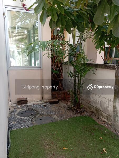 Bangkok Boulevard Pinklao-Petchkasem, Nakhon Pathom, Phutthamonthon Sai 4 Road, Krathum Lom, Sam Phran, Nakhon Pathom, 3 Bedrooms, 203 sqm, Single Detached House For Sale, by Siripong Iamcharas, 9993801 - DDproperty.com