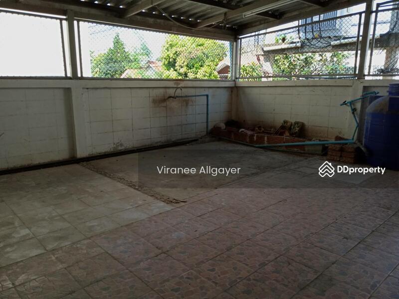 เช่า อาคารพาณิชย์, Nakhon Ratchasima, Nong Chabok, Muang Nakhon Ratchasima, Nakhon Ratchasima, , 290 sqm, Shophouse For Rent, by วิรณี, 9995734 - DDproperty.com